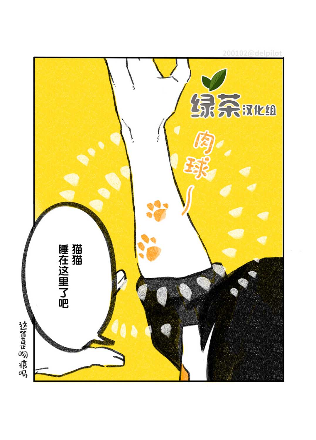 《和猫在一起生活的日记》漫画最新章节第6话免费下拉式在线观看章节第【2】张图片