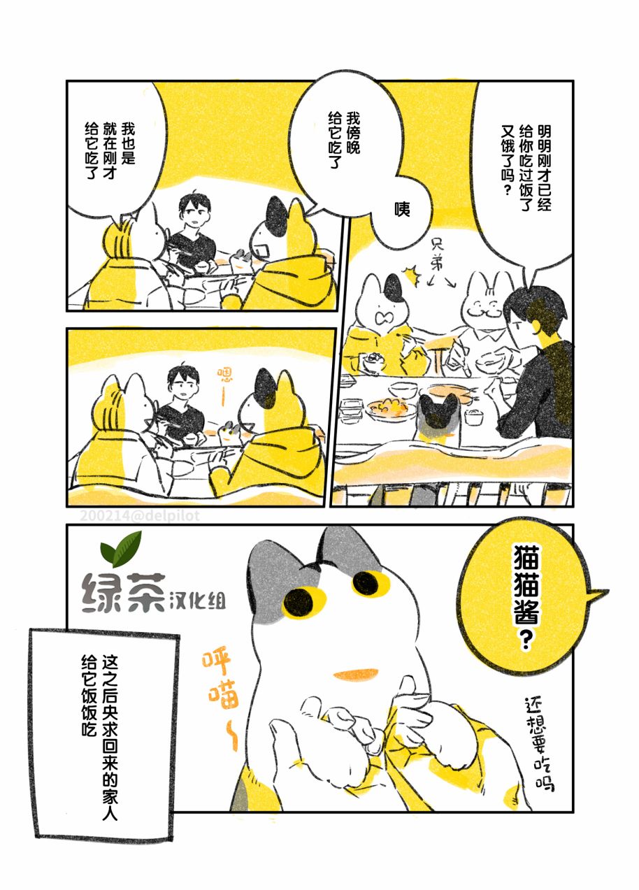 《和猫在一起生活的日记》漫画最新章节第11话免费下拉式在线观看章节第【4】张图片