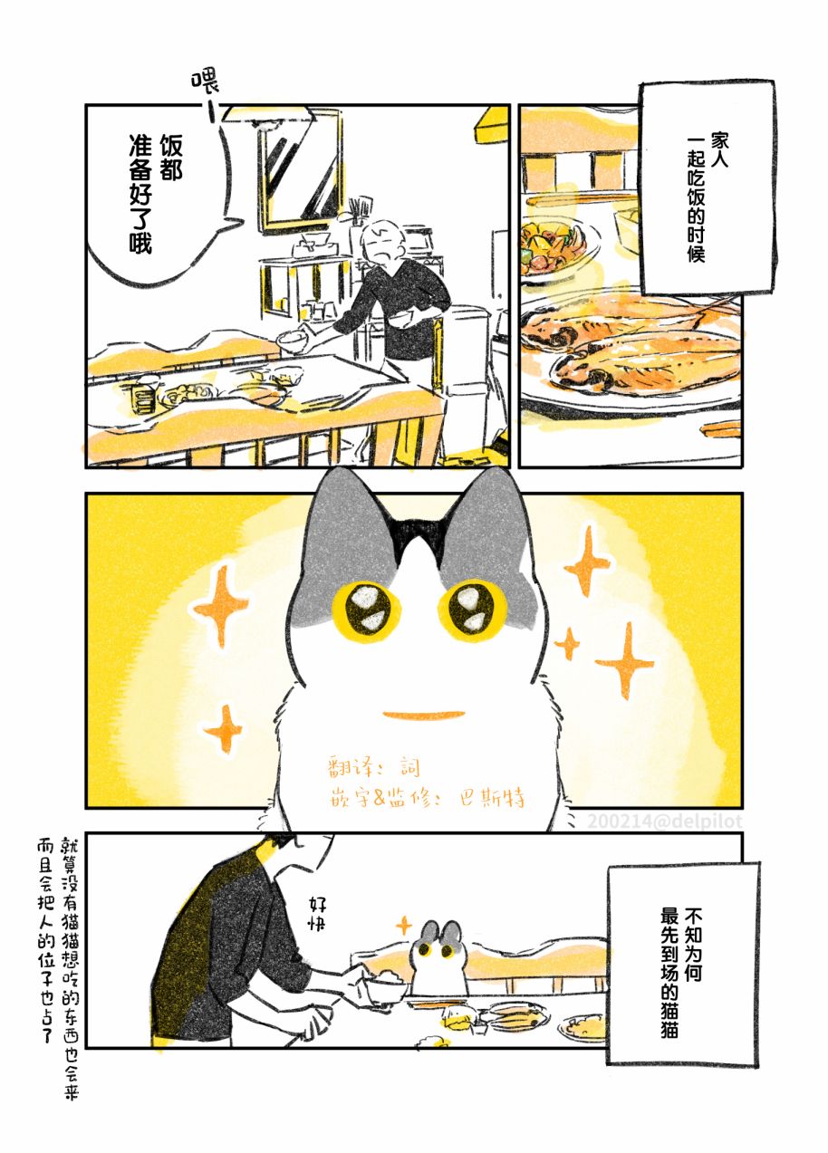 《和猫在一起生活的日记》漫画最新章节第11话免费下拉式在线观看章节第【1】张图片