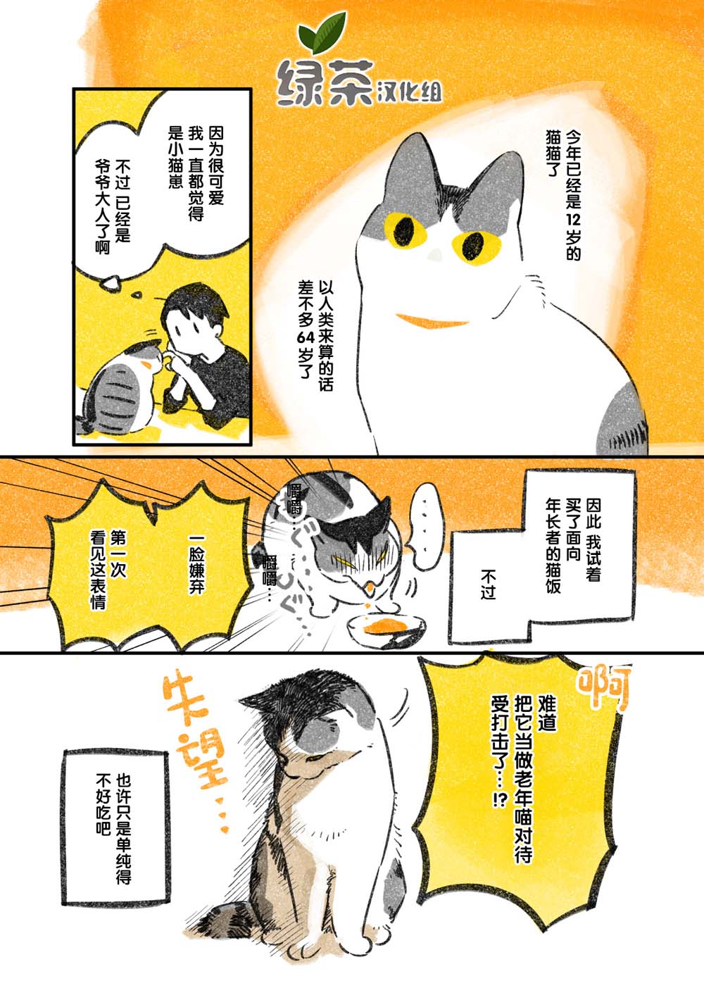 《和猫在一起生活的日记》漫画最新章节第3话免费下拉式在线观看章节第【1】张图片