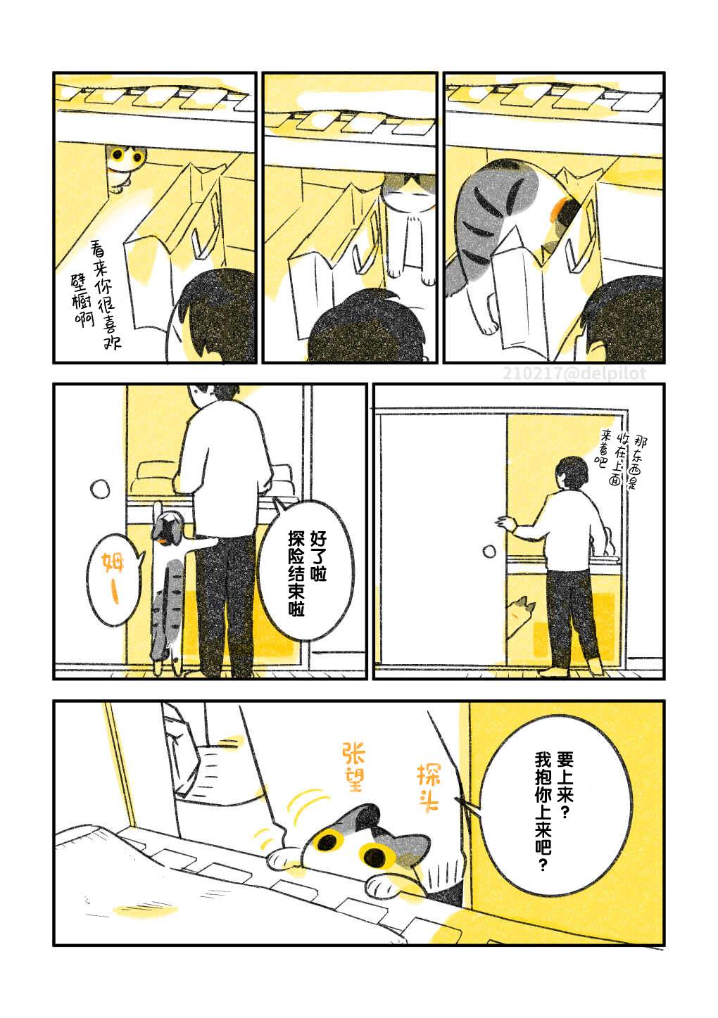 《和猫在一起生活的日记》漫画最新章节第24话免费下拉式在线观看章节第【4】张图片