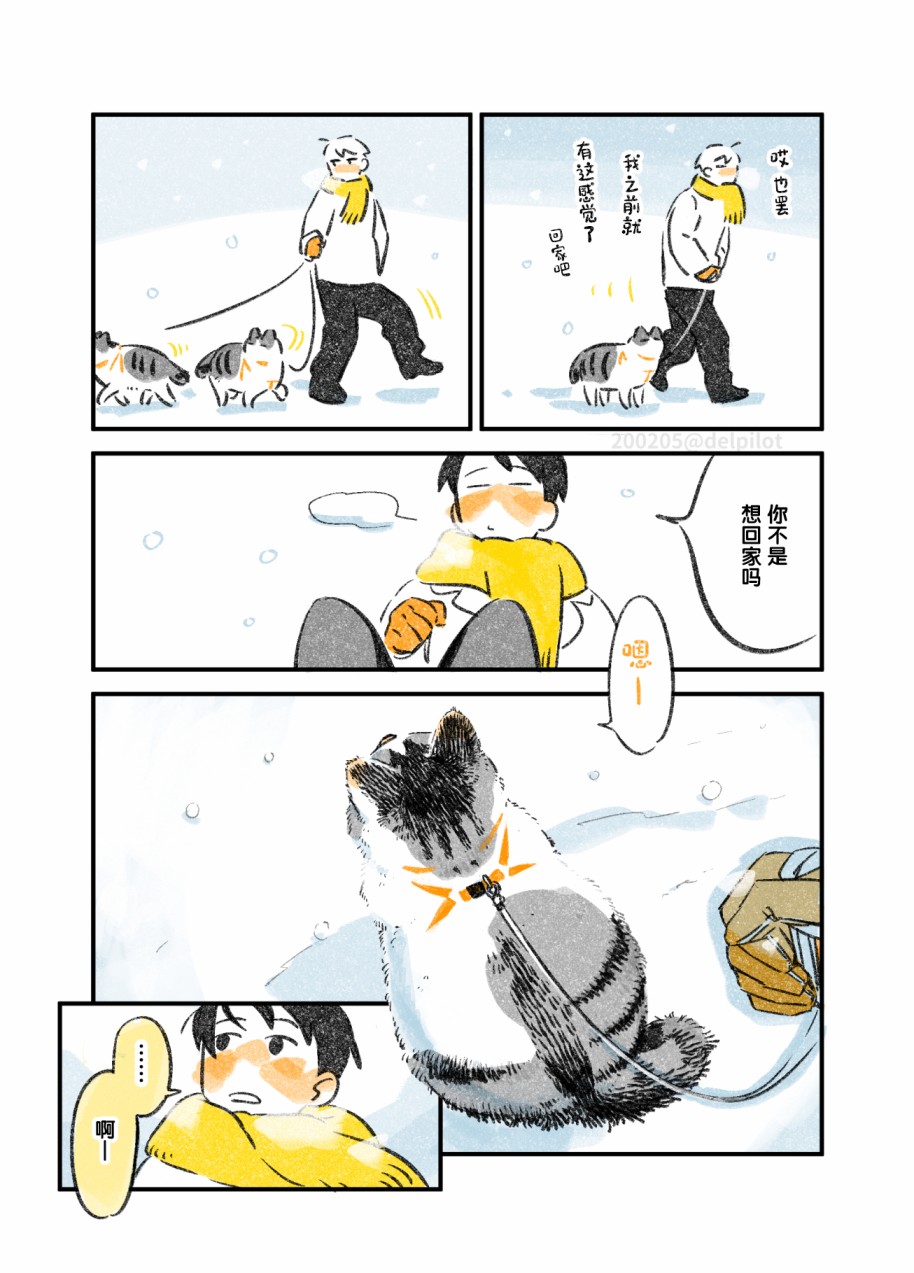 《和猫在一起生活的日记》漫画最新章节第10话免费下拉式在线观看章节第【4】张图片