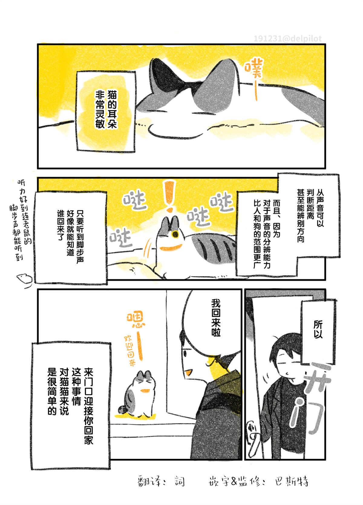 《和猫在一起生活的日记》漫画最新章节第5话免费下拉式在线观看章节第【1】张图片