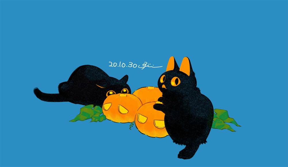 《和猫在一起生活的日记》漫画最新章节第杂图话免费下拉式在线观看章节第【16】张图片