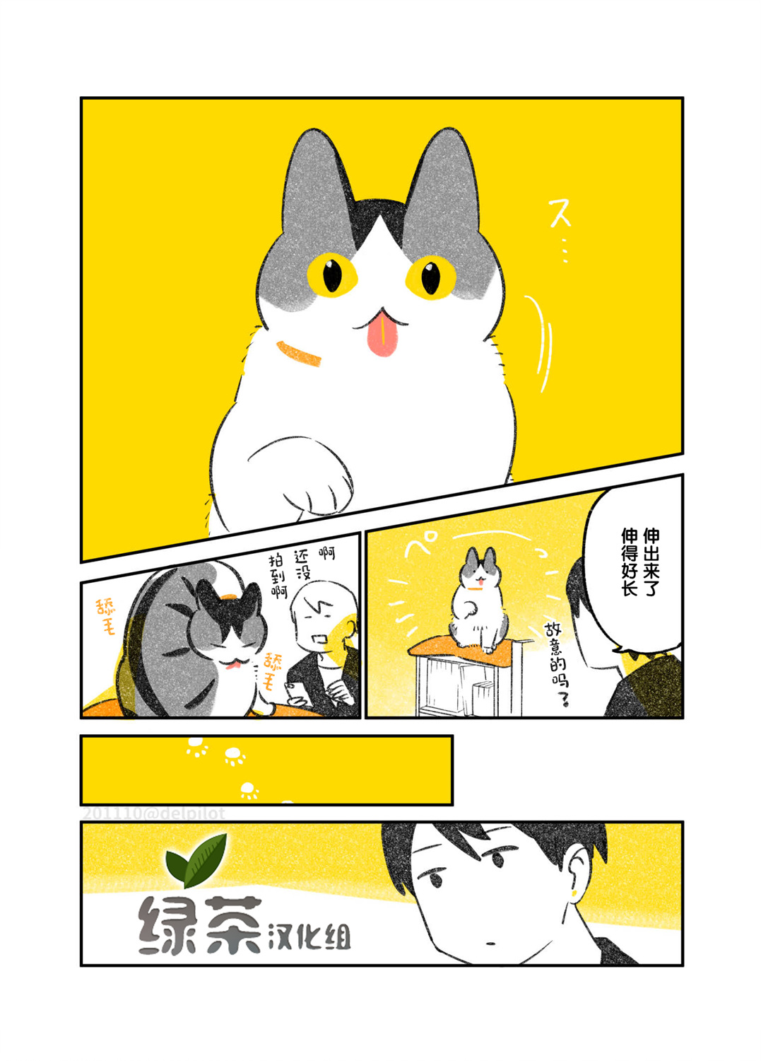 《和猫在一起生活的日记》漫画最新章节第19话免费下拉式在线观看章节第【4】张图片