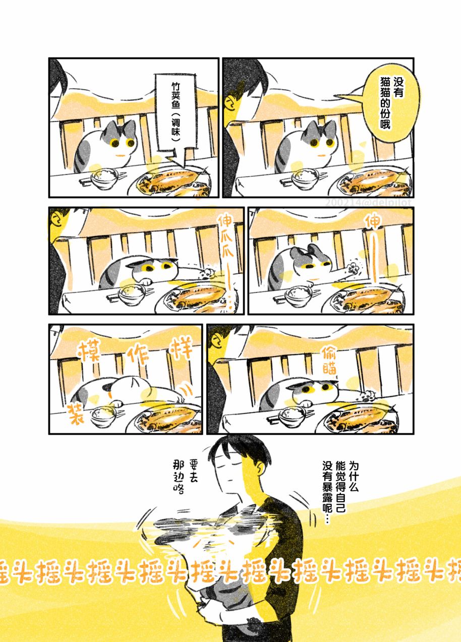 《和猫在一起生活的日记》漫画最新章节第11话免费下拉式在线观看章节第【2】张图片