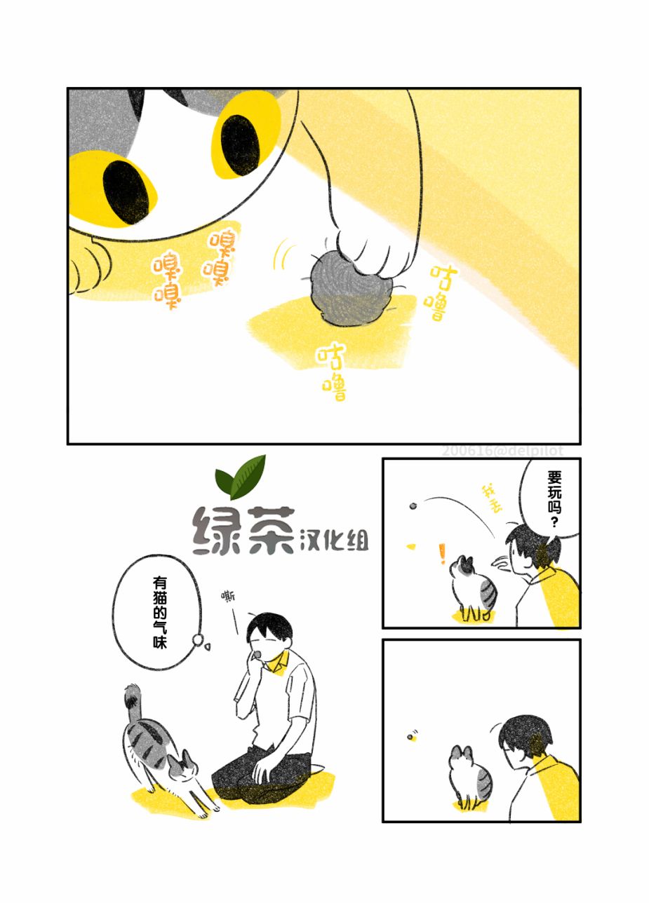 《和猫在一起生活的日记》漫画最新章节第15话免费下拉式在线观看章节第【5】张图片