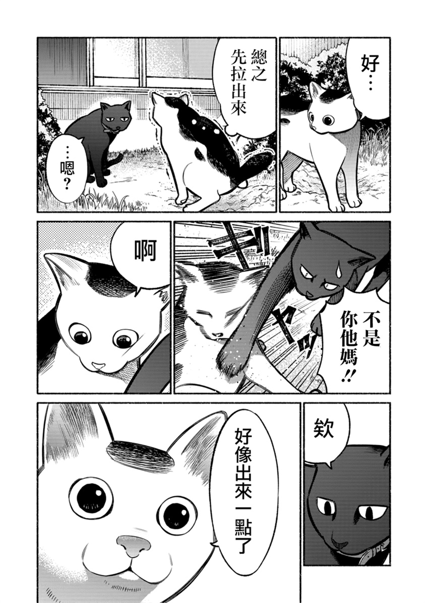 《极主夫道》漫画最新章节番外02免费下拉式在线观看章节第【5】张图片