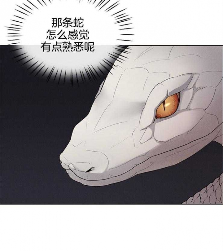 《大公阁下的玩具》漫画最新章节第40话免费下拉式在线观看章节第【4】张图片