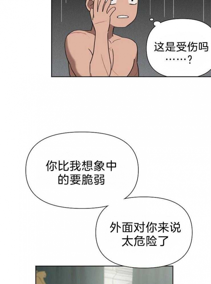 《大公阁下的玩具》漫画最新章节第49话免费下拉式在线观看章节第【12】张图片