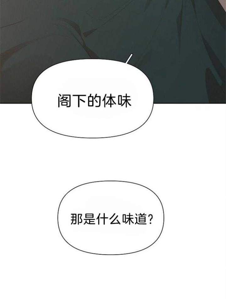 《大公阁下的玩具》漫画最新章节第48话免费下拉式在线观看章节第【17】张图片