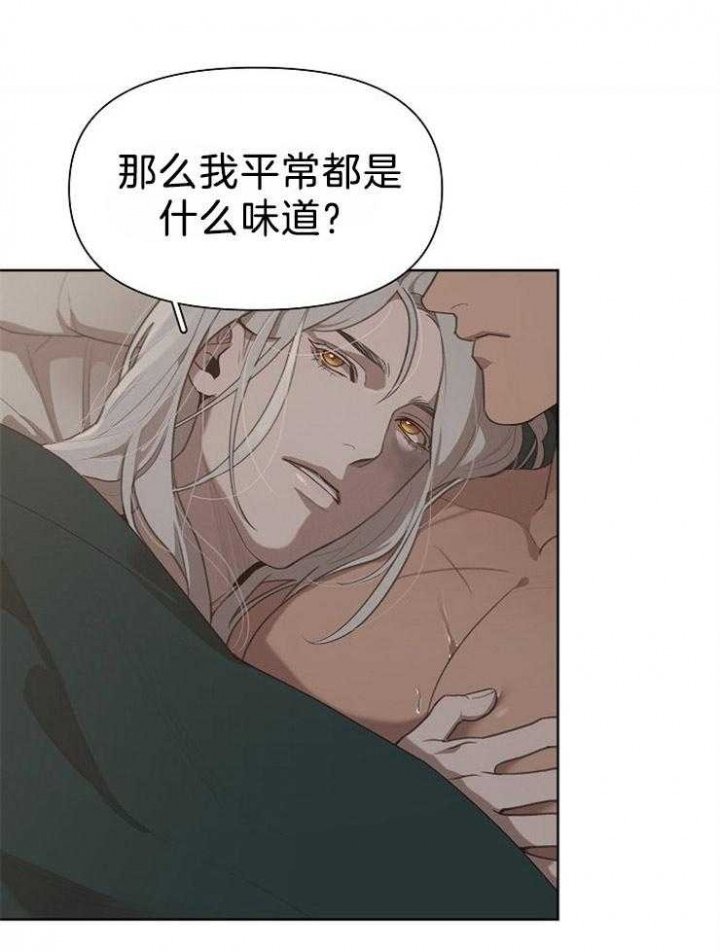 《大公阁下的玩具》漫画最新章节第48话免费下拉式在线观看章节第【14】张图片