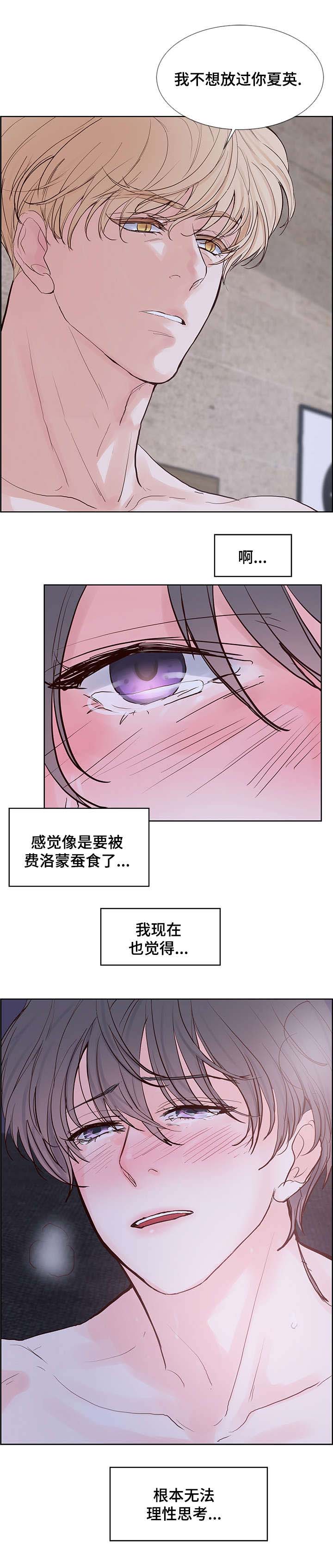 《朱罗家族》漫画最新章节第58话免费下拉式在线观看章节第【13】张图片