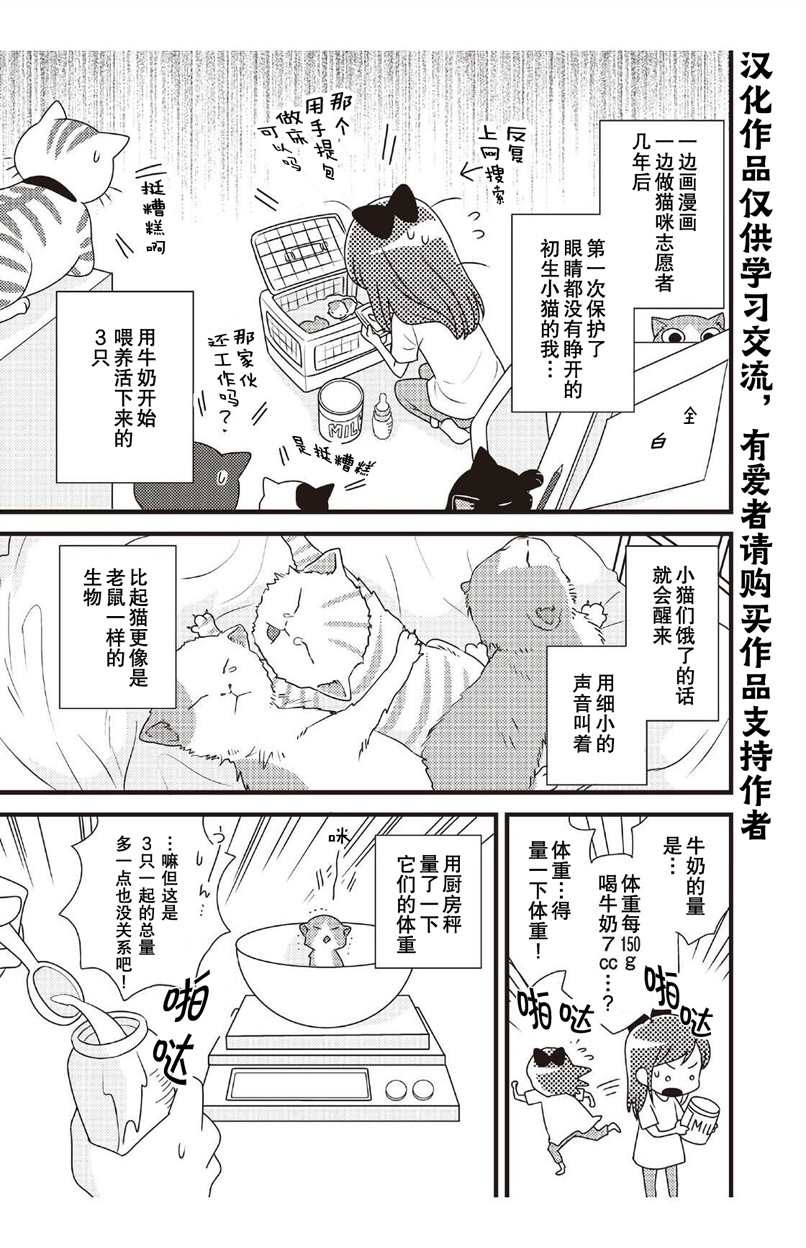 《猫咪志愿部的牛奶小姐》漫画最新章节第2话免费下拉式在线观看章节第【1】张图片