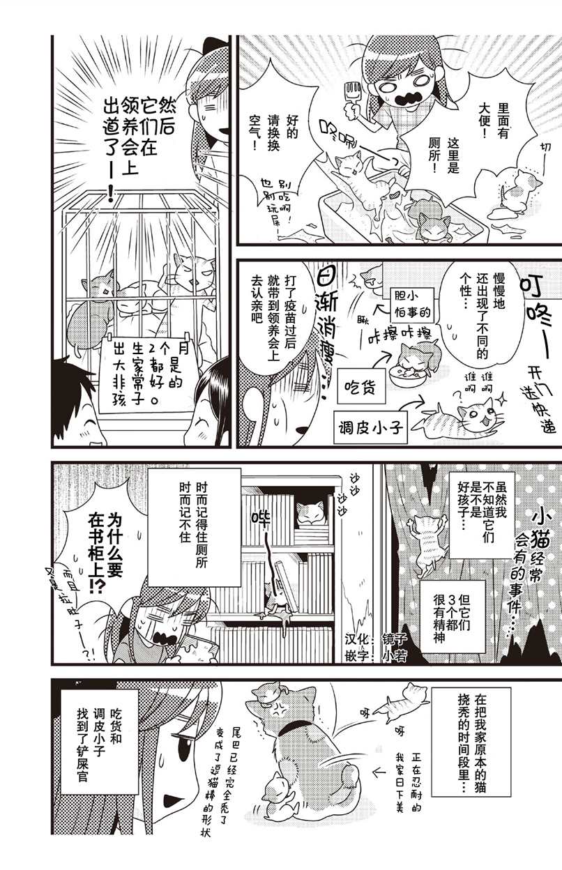 《猫咪志愿部的牛奶小姐》漫画最新章节第2话免费下拉式在线观看章节第【4】张图片