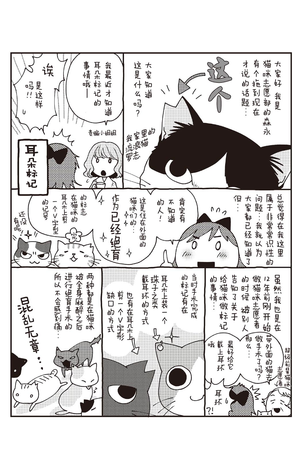 《猫咪志愿部的牛奶小姐》漫画最新章节番外02免费下拉式在线观看章节第【1】张图片