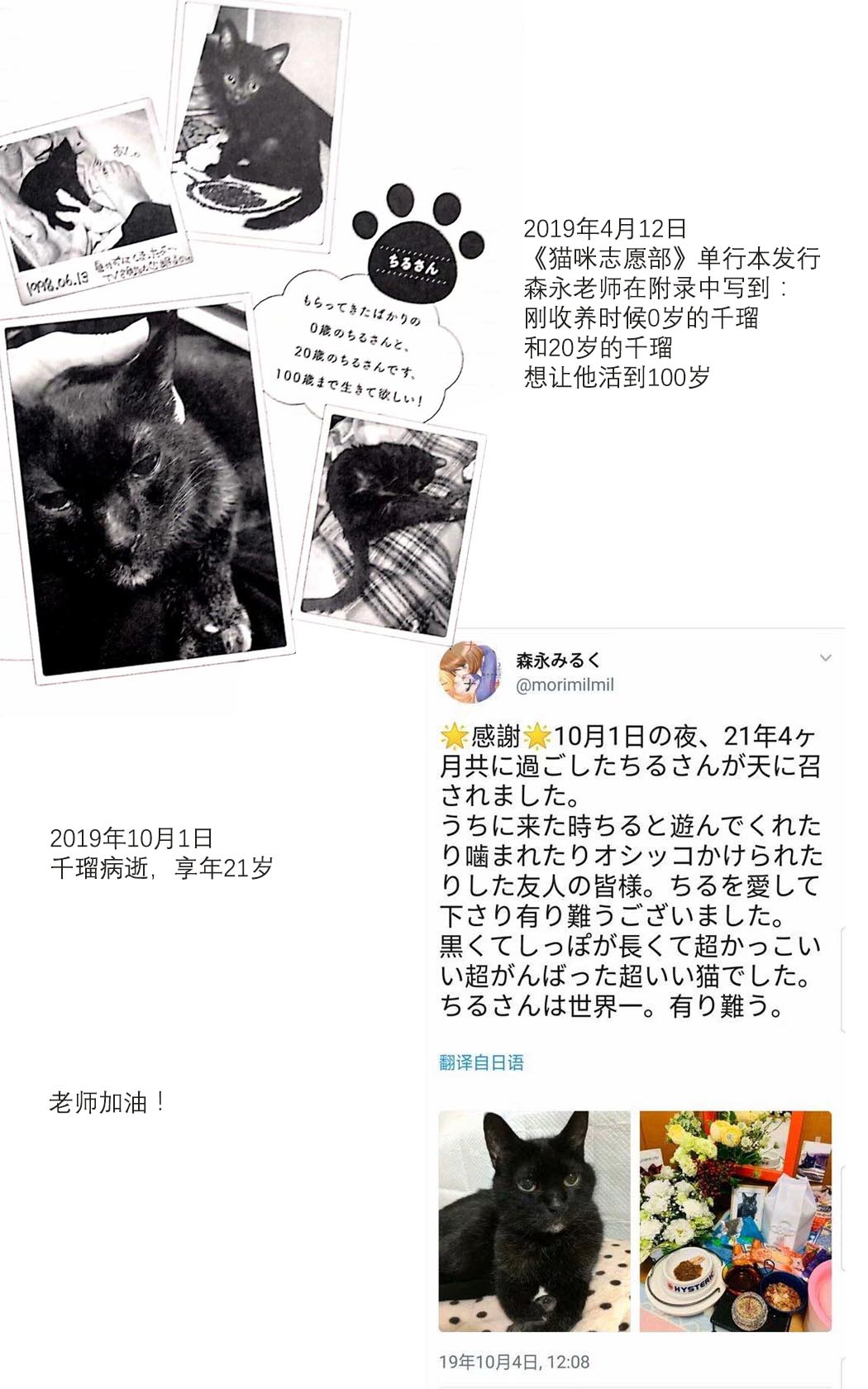 《猫咪志愿部的牛奶小姐》漫画最新章节第8话免费下拉式在线观看章节第【18】张图片