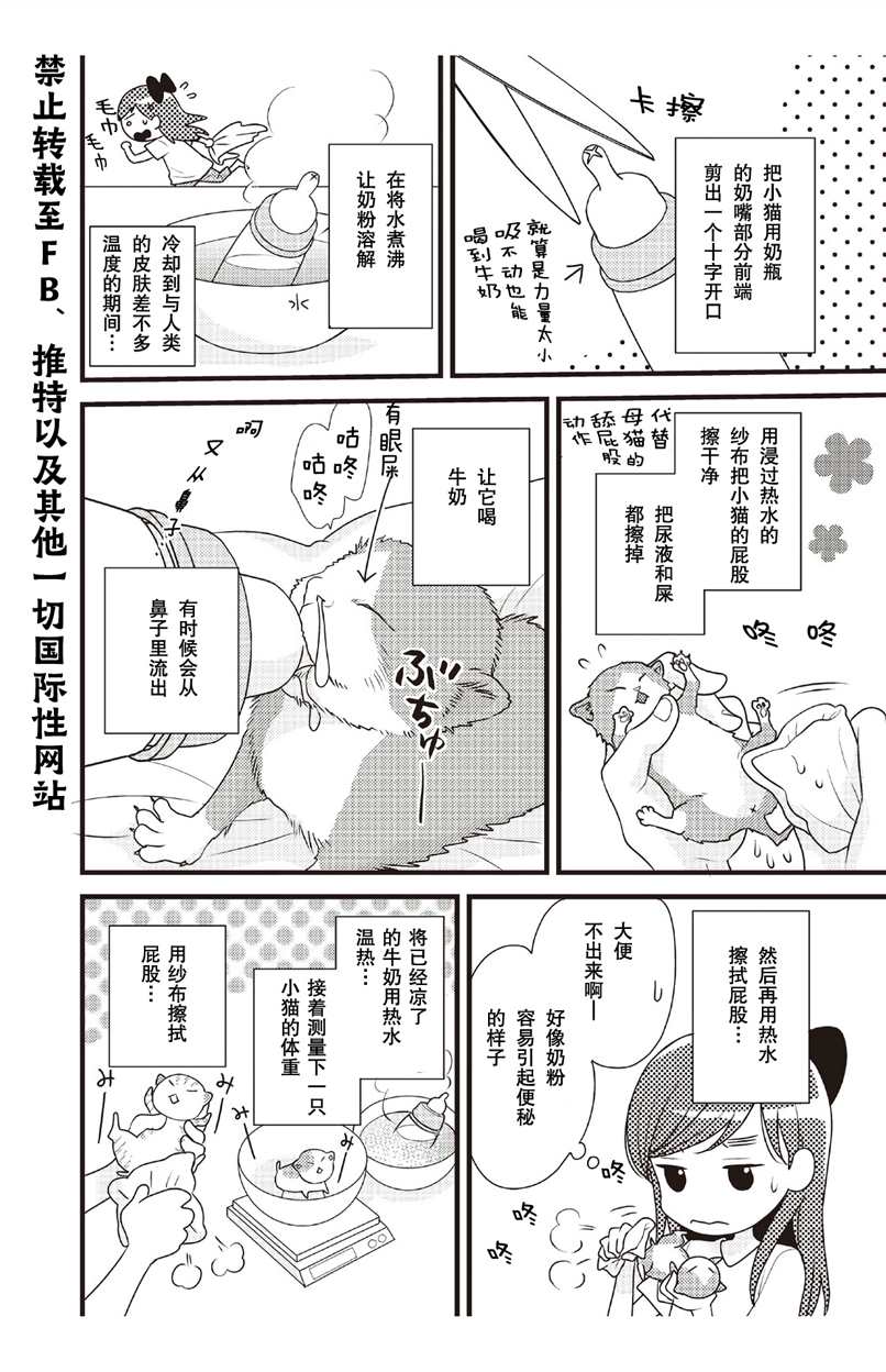 《猫咪志愿部的牛奶小姐》漫画最新章节第2话免费下拉式在线观看章节第【2】张图片