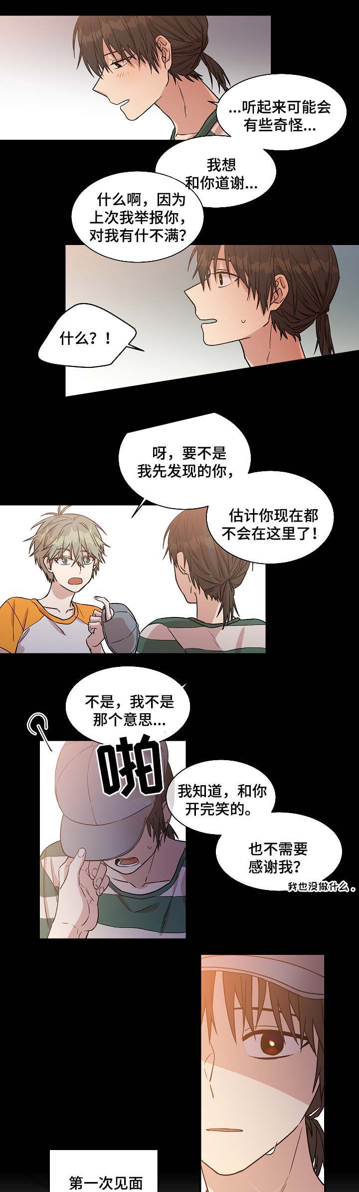 《圈套》漫画最新章节第33话免费下拉式在线观看章节第【21】张图片