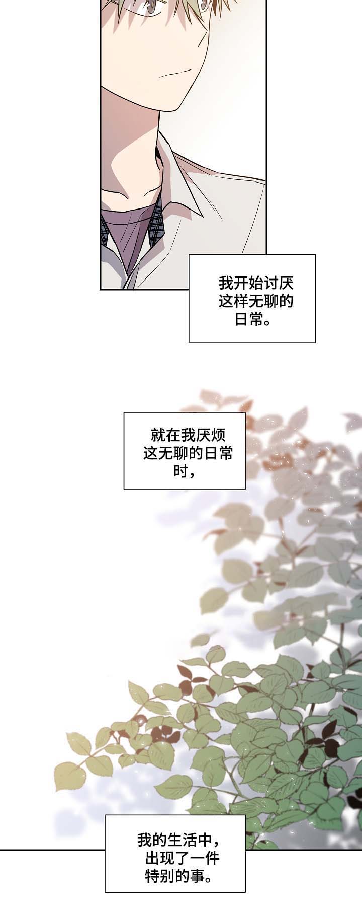 《圈套》漫画最新章节第36话免费下拉式在线观看章节第【21】张图片