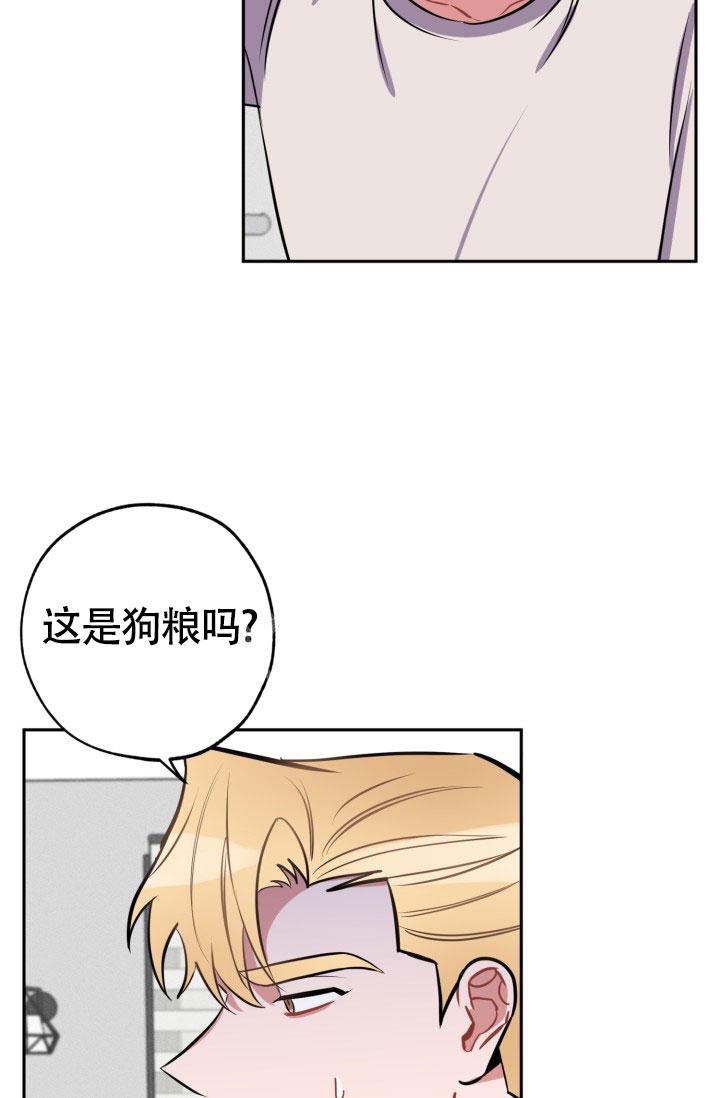 《爱情证明》漫画最新章节第17话免费下拉式在线观看章节第【34】张图片