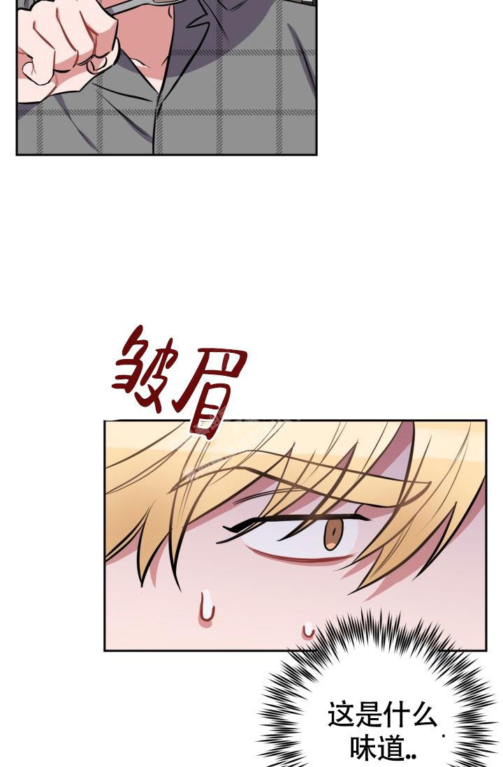 《爱情证明》漫画最新章节第17话免费下拉式在线观看章节第【37】张图片