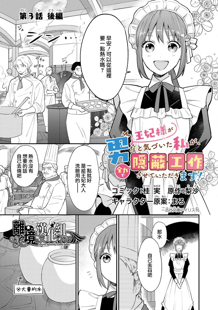 《当发现王妃大人是男人之后、我开始全力协助隐瞒工作》漫画最新章节第3话免费下拉式在线观看章节第【23】张图片