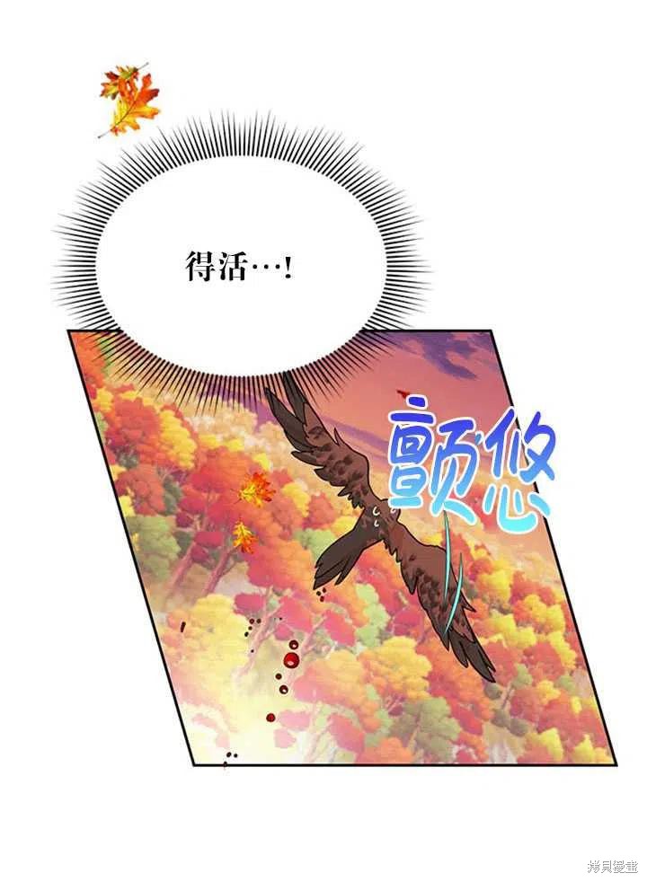 《传令鸟皇女殿下》漫画最新章节第16话免费下拉式在线观看章节第【36】张图片