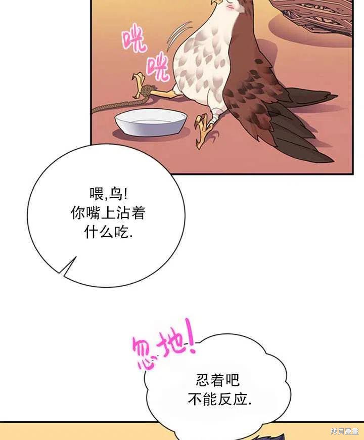 《传令鸟皇女殿下》漫画最新章节第19话免费下拉式在线观看章节第【47】张图片