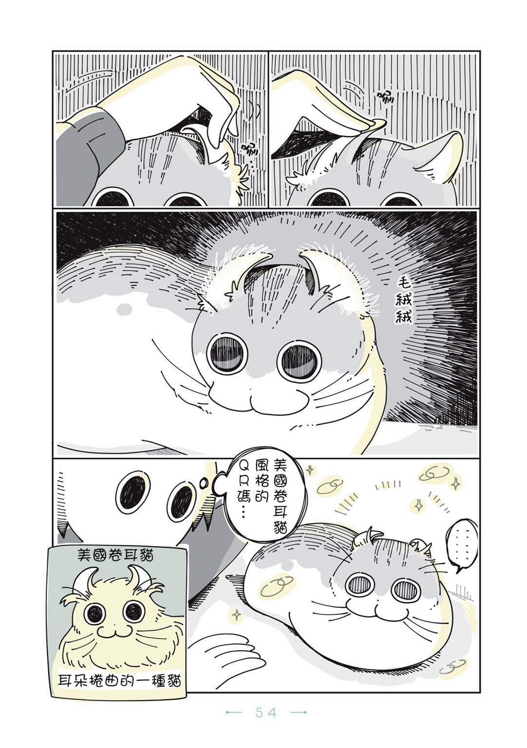 《夜夜猫歌》漫画最新章节第13话免费下拉式在线观看章节第【3】张图片