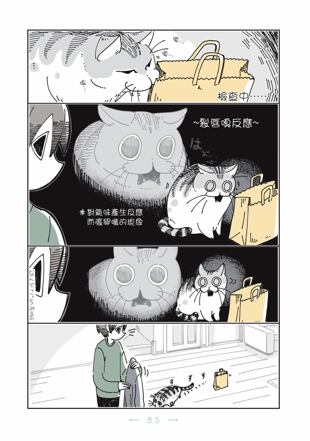 《夜夜猫歌》漫画最新章节第21话免费下拉式在线观看章节第【2】张图片