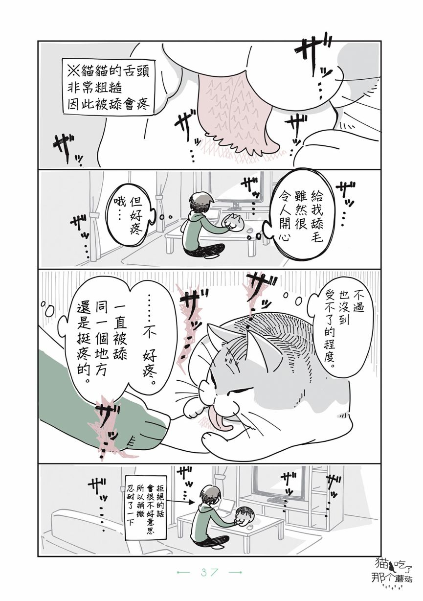 《夜夜猫歌》漫画最新章节第9话免费下拉式在线观看章节第【2】张图片