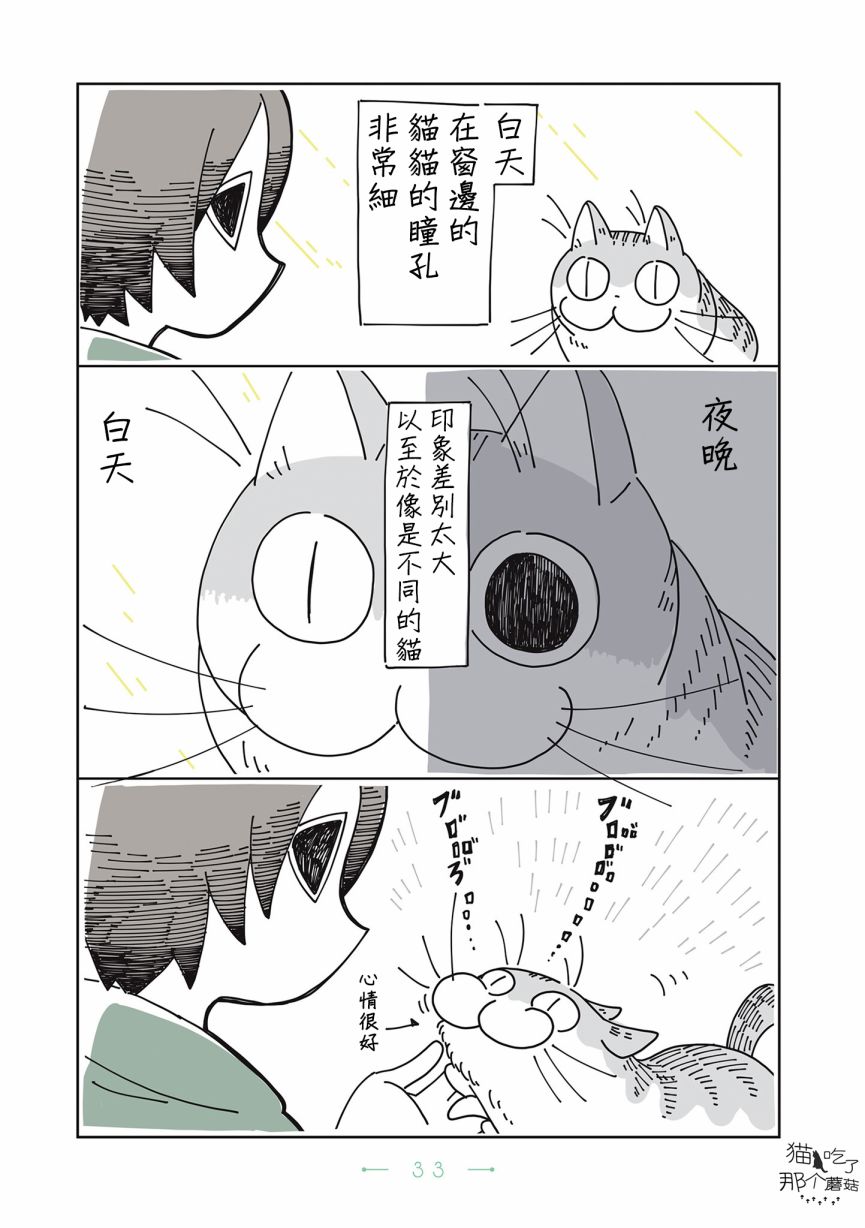 《夜夜猫歌》漫画最新章节第8话免费下拉式在线观看章节第【2】张图片