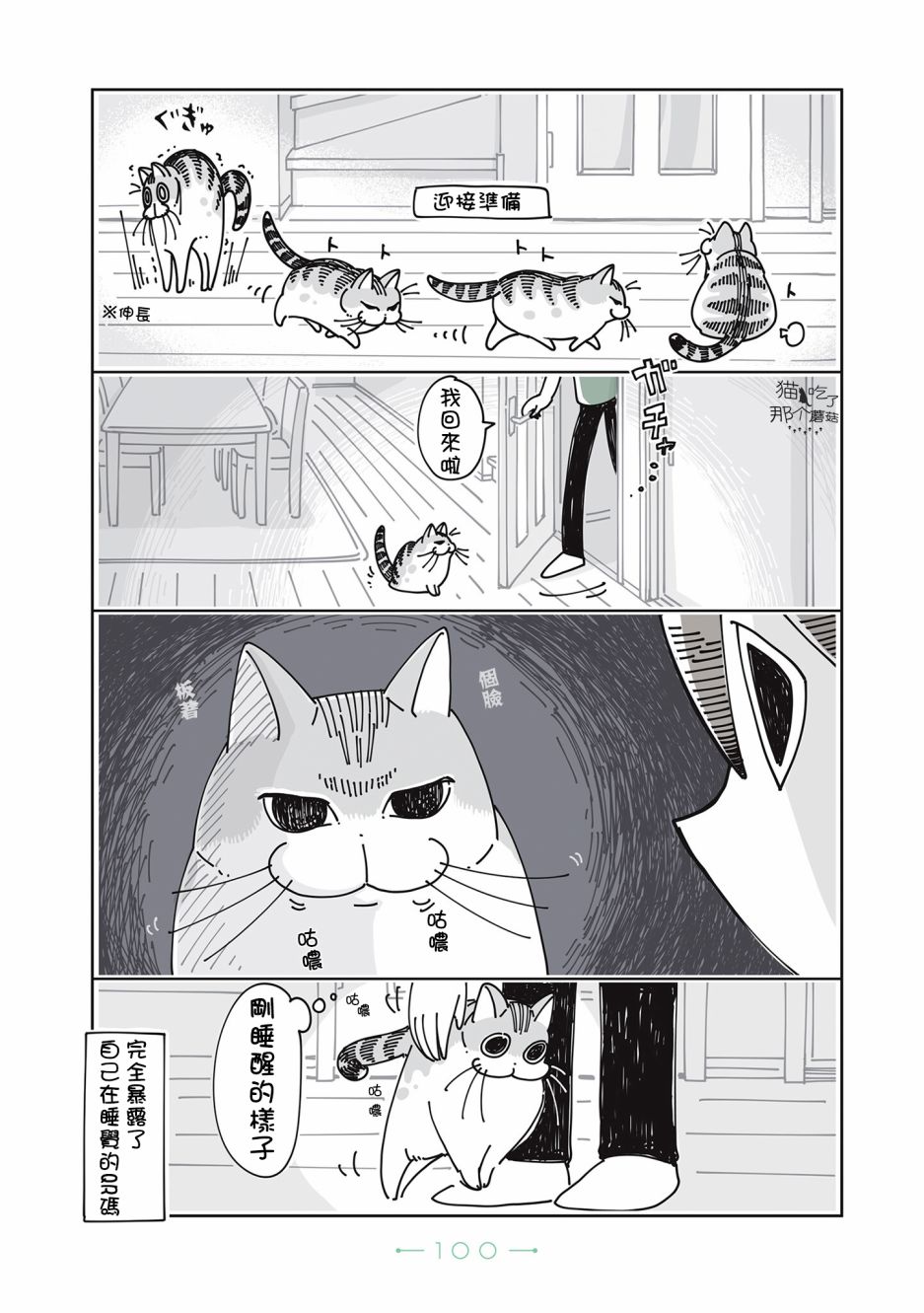 《夜夜猫歌》漫画最新章节第25话免费下拉式在线观看章节第【2】张图片