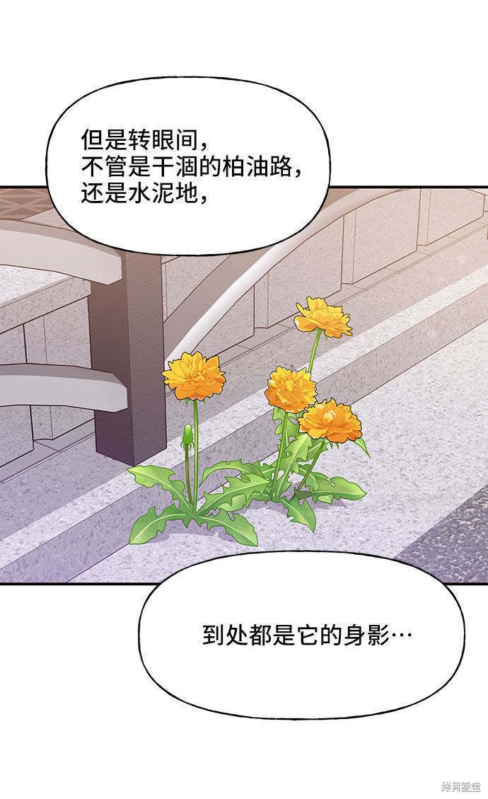 《今天的维纳斯》漫画最新章节第18话免费下拉式在线观看章节第【65】张图片