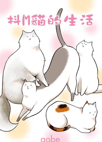 抖猫视频在哪可以下载漫画