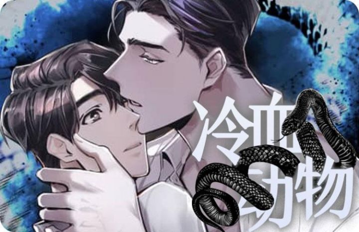 冷血动物漫画什么时候更新漫画