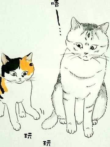 我曾经巨讨厌猫来的免费漫画,我曾经巨讨厌猫来的下拉式漫画