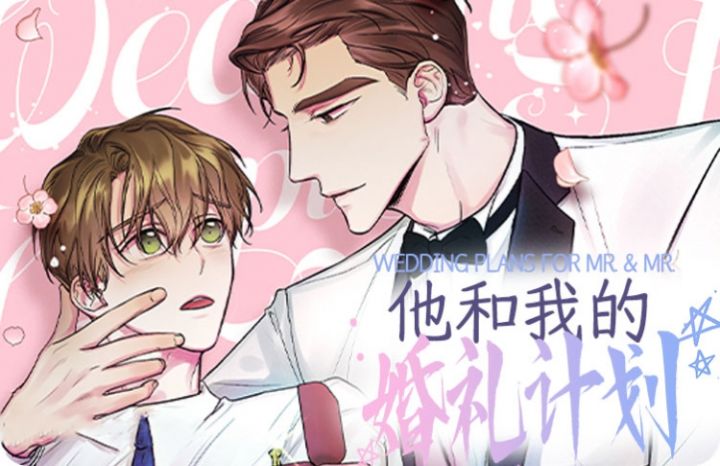 他和我的婚礼计划全文阅读漫画