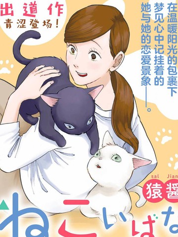 猫脸花图片漫画