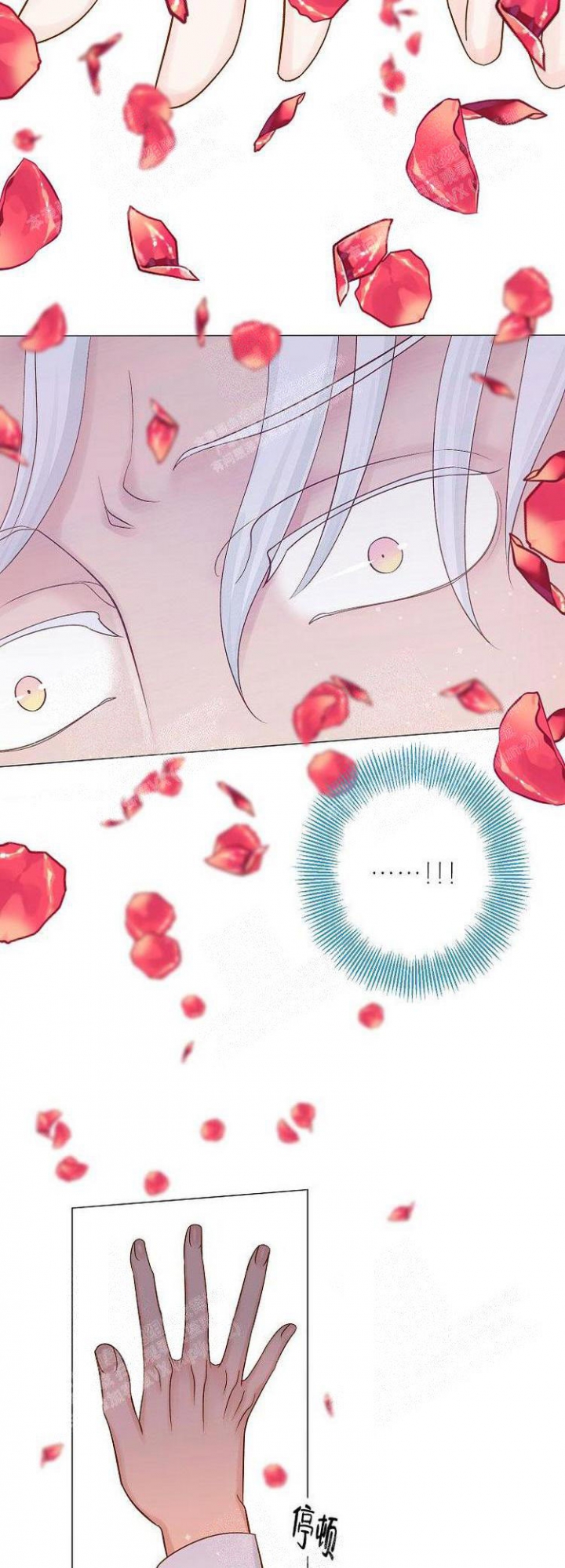 《王子的际遇》漫画最新章节第12话免费下拉式在线观看章节第【8】张图片