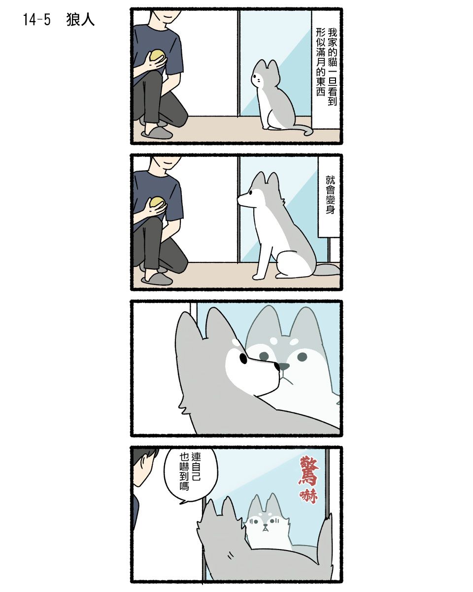 《猫猫妖怪》漫画最新章节第14话免费下拉式在线观看章节第【5】张图片