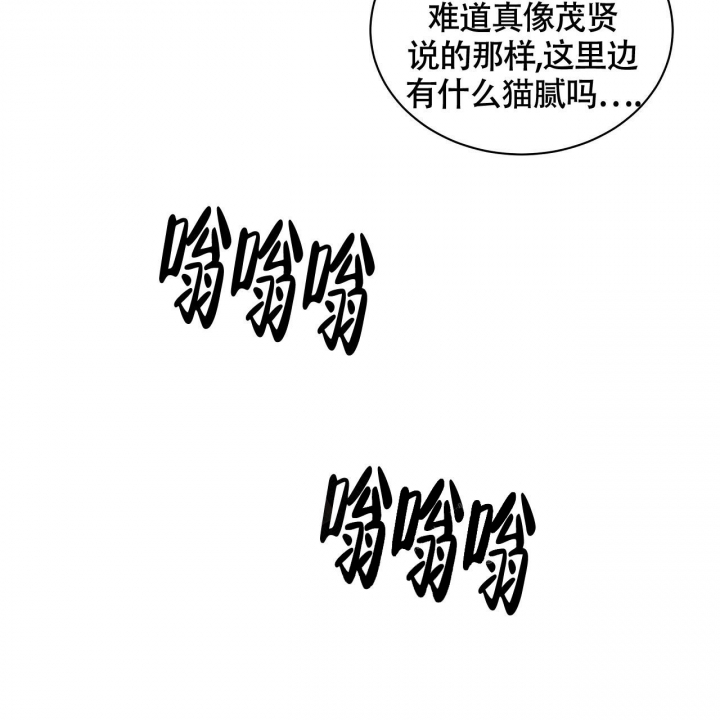 《触发》漫画最新章节第11话免费下拉式在线观看章节第【5】张图片