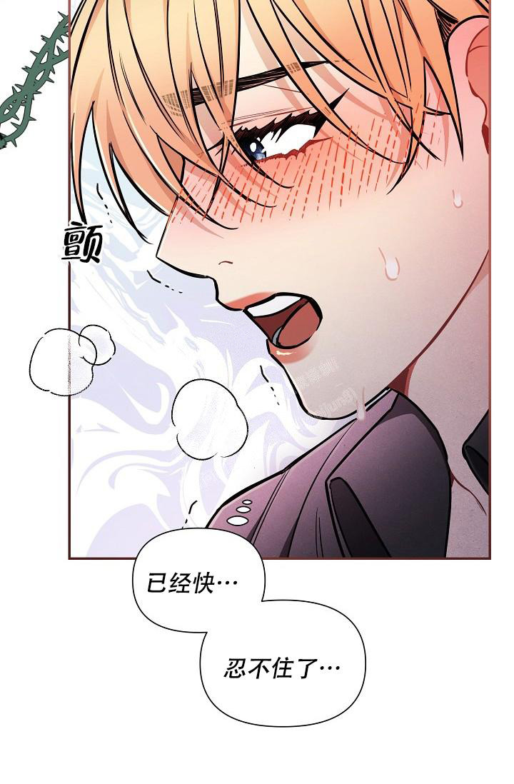 《疯狂列车》漫画最新章节第79话免费下拉式在线观看章节第【19】张图片