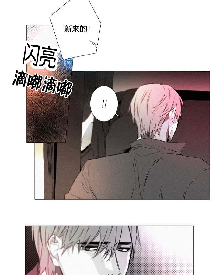 《近凶》漫画最新章节第31话免费下拉式在线观看章节第【19】张图片