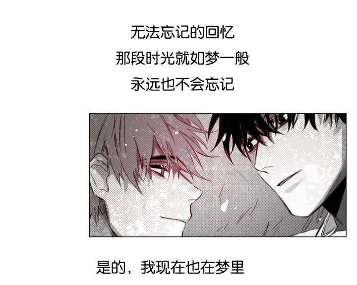 《近凶》漫画最新章节第33话免费下拉式在线观看章节第【47】张图片