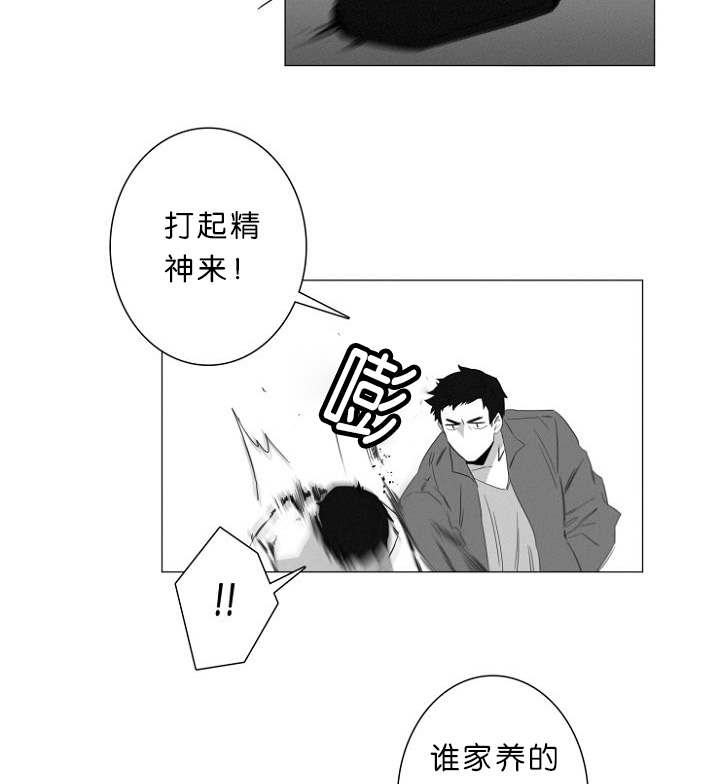 《近凶》漫画最新章节第7话免费下拉式在线观看章节第【39】张图片