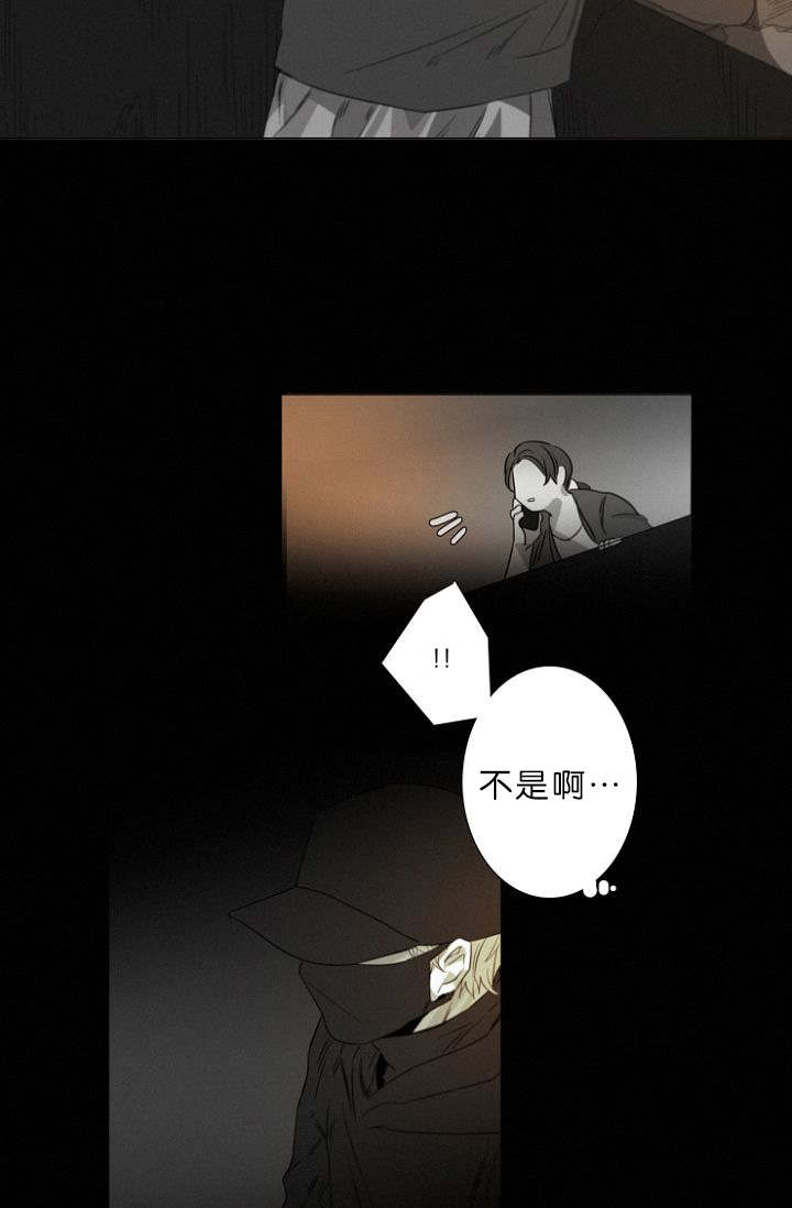 《近凶》漫画最新章节第11话免费下拉式在线观看章节第【11】张图片