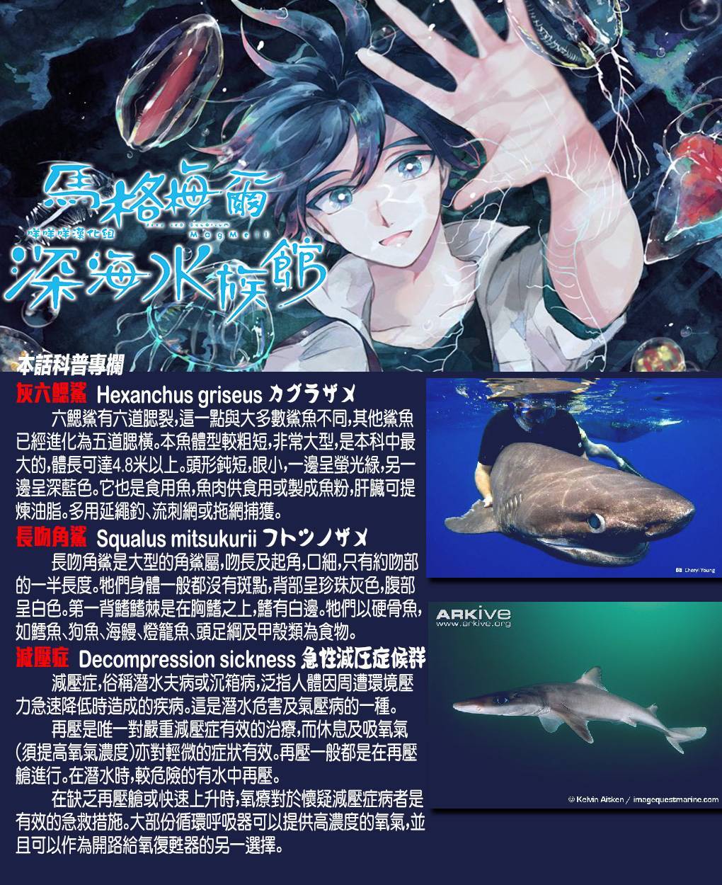 《马格梅尔深海水族馆》漫画最新章节第8话免费下拉式在线观看章节第【31】张图片