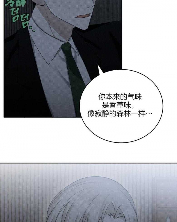 《亲爱的撒盐吧》漫画最新章节第20话免费下拉式在线观看章节第【10】张图片